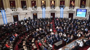 El Gobierno envió proyectos al Congreso para aplicar cambios en las leyes de Salud Mental y Discapacidad