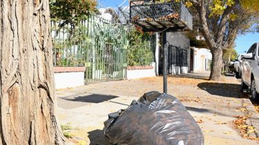 Recolección de hojas de otoño de CLIBA: adónde van las bolsas con el residuo