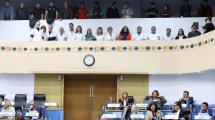 Imagen de La desregulación de la actividad farmacéutica en Río Negro fue aprobada por la Legislatura