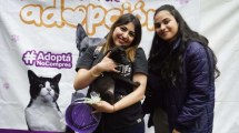 Imagen de Vuelve la Feria Animalada a Neuquén con 40 perros y gatos que se darán en adopción: cuándo y dónde es