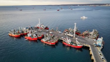 Chubut: empresarios pesqueros judicializaron la ley de “Ficha Limpia” y crece la tensión con el Gobierno