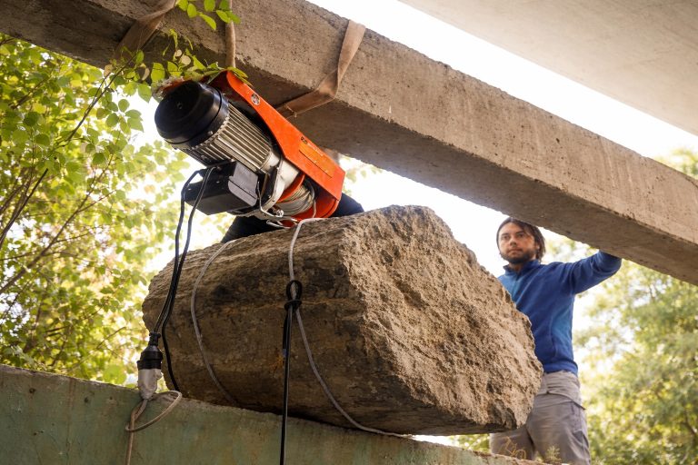 El legado natural que llegó a la Dirección de Patrimonio Cultural de la Provincia de Neuquén. Foto: gentileza. 
