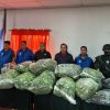 Imagen de Histórico secuestro de droga en Chos Malal: hallan 34 kilos de marihuana y desbaratan un invernadero