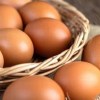 Imagen de Ni uno ni diez: la OMS fijó el consumo ideal de huevos para una dieta saludable
