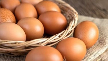 Ni uno ni diez: la OMS fijó el consumo ideal de huevos para una dieta saludable
