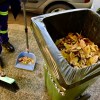 Imagen de Neuquén lanzó el "plan otoño" con un servicio diferencial de recolección de residuos vegetales