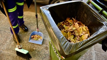 Neuquén lanzó el «plan otoño» con un servicio diferencial de recolección de residuos vegetales
