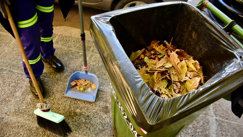 Comenzó el "Plan Otoño" y el servicio diferenciado de recolección de hojas que los frentistas dejen embolsadas en las veredas (foto Matías Subat)
