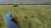 Imagen de El agua cambia: la estabilidad en revisión en el norte de la Patagonia
