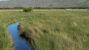 Los desafíos para generar periodismo ambiental en Argentina