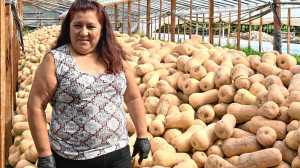 A fuerza de trabajo y una mirada siempre optimista construyó junto a su familia un gran presente en la horticultura de la Patagonia