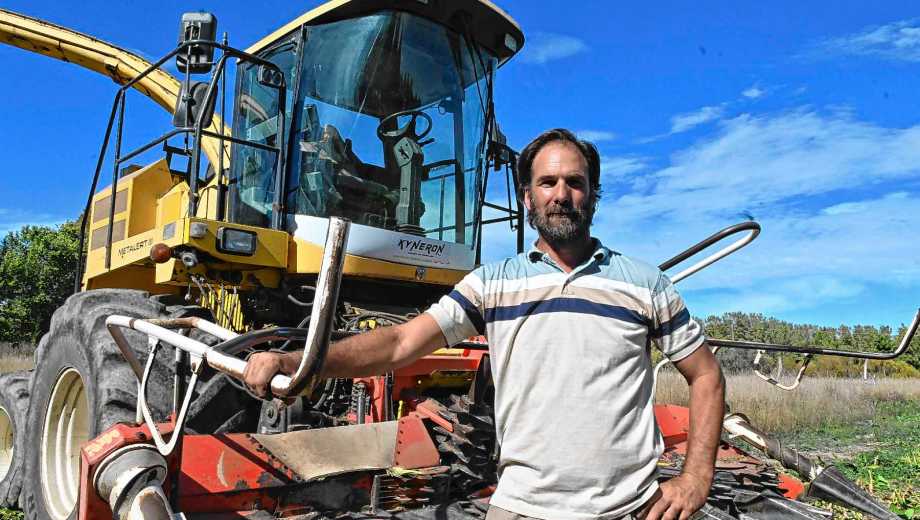 Manuel Picado apostó a Río Negro y le hace honor a su apellido: se dedica al cortapicado de maíz desde hace más de una década. Foto: Marcelo Ochoa.