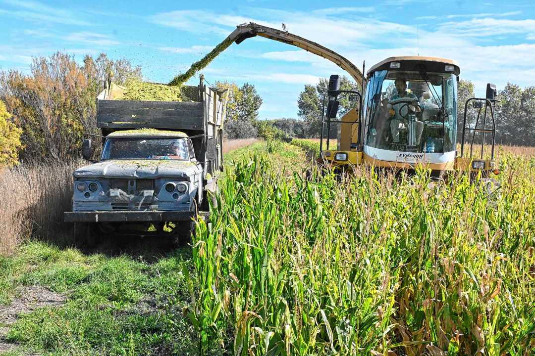 Manuel al volante de la máquina que compró en 2026 y con la que retomó en la Patagonia una actividad que había empezado hace más de una década.