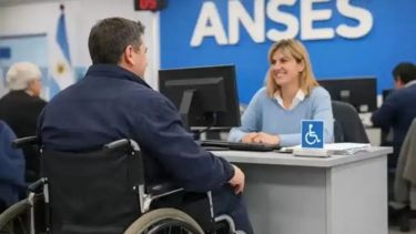 La nueva Ley de Discapacidad: lo que debés saber sobre las Pensiones No Contributivas y sus montos