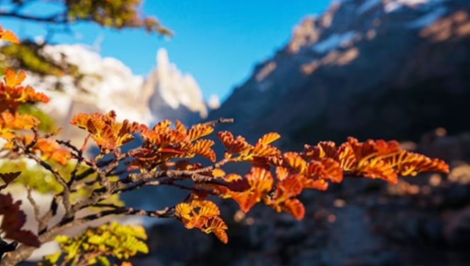 Mejora el tiempo en el norte patagónico: tras la inestabilidad, vuelve el sol a los valles.-