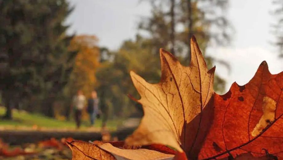 Pronóstico en el norte patagónico: el aire frío se instala y cambia el tiempo este sábado.-