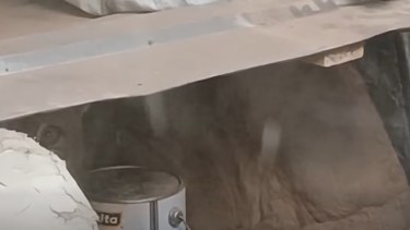 Un puma apareció en un galpón y generó preocupación en Pilcaniyeu