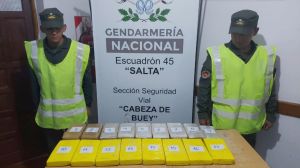 Hallaron casi 19 kilos de cocaína en Salta: iban en dos micros que tenían como destino final la Patagonia