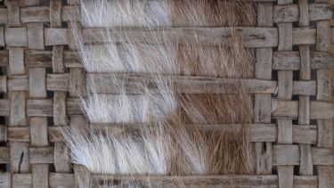 «Donde el paisaje se vuelve cuero»: Río Negro dice presente en una muestra nacional en Buenos Aires