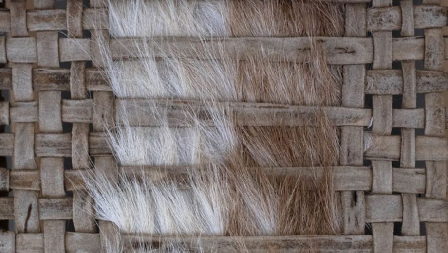 Objetos que reflejan saberes y tradiciones rionegrinas integran una muestra nacional sobre el arte del cuero.