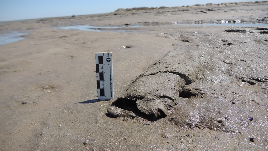 Los científicos recorrieron el sector en busca de matas microbianas. Foto: gentileza