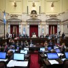 Imagen de El Gobierno envió al Senado el proyecto para eliminar las PASO y reformar el sistema electoral
