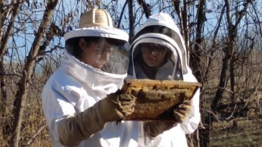 Escuela Agraria Alto Valle Este: el semillero educativo de Villa Regina que prepara a 260 futuros técnicos agropecuarios