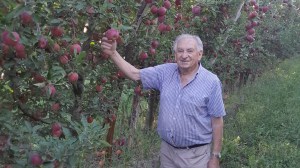Llegó de Italia a los 9 años y lleva más de 70 dedicados a la producción de peras y manzanas en la Patagonia