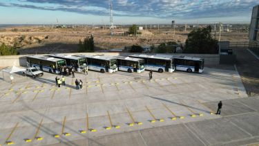 Nueva línea en el sistema COLE en Neuquén: cómo es el mapa del recorrido