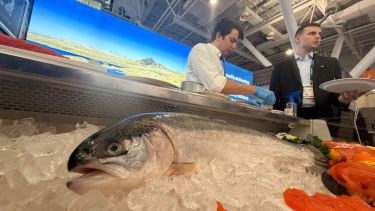 La trucha de Piedra del Águila gana prestigio en el mercado internacional