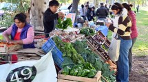 Imagen de Feria Agroecológica de Viedma: un recorrido de sabores, oficios y producción local que conecta con los vecinos