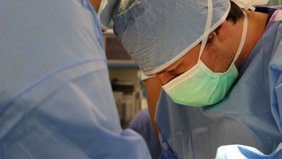 Cirugía experimental de trasplante (investigacion). Foto: gentileza