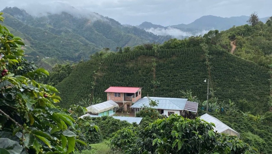 El Eje Cafetero, mucho más que café. Foto: gentileza.