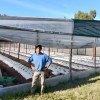 Imagen de Productores impulsan el crecimiento de los invernaderos en el Valle Inferior
