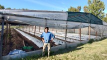 Imagen de Productores impulsan el crecimiento de los invernaderos en el Valle Inferior