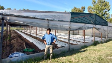 Productores impulsan el crecimiento de los invernaderos en el Valle Inferior
