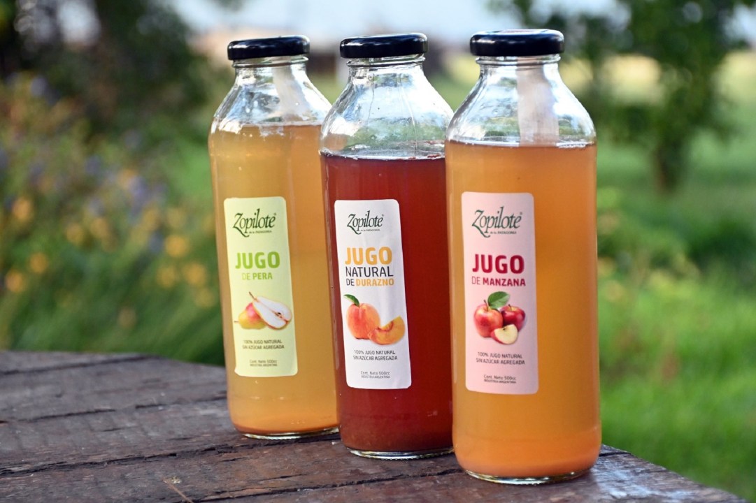 La cosecha de fruta marca el ritmo del trabajo en la chacra del Valle Inferior. Foto: Marcelo Ochoa.