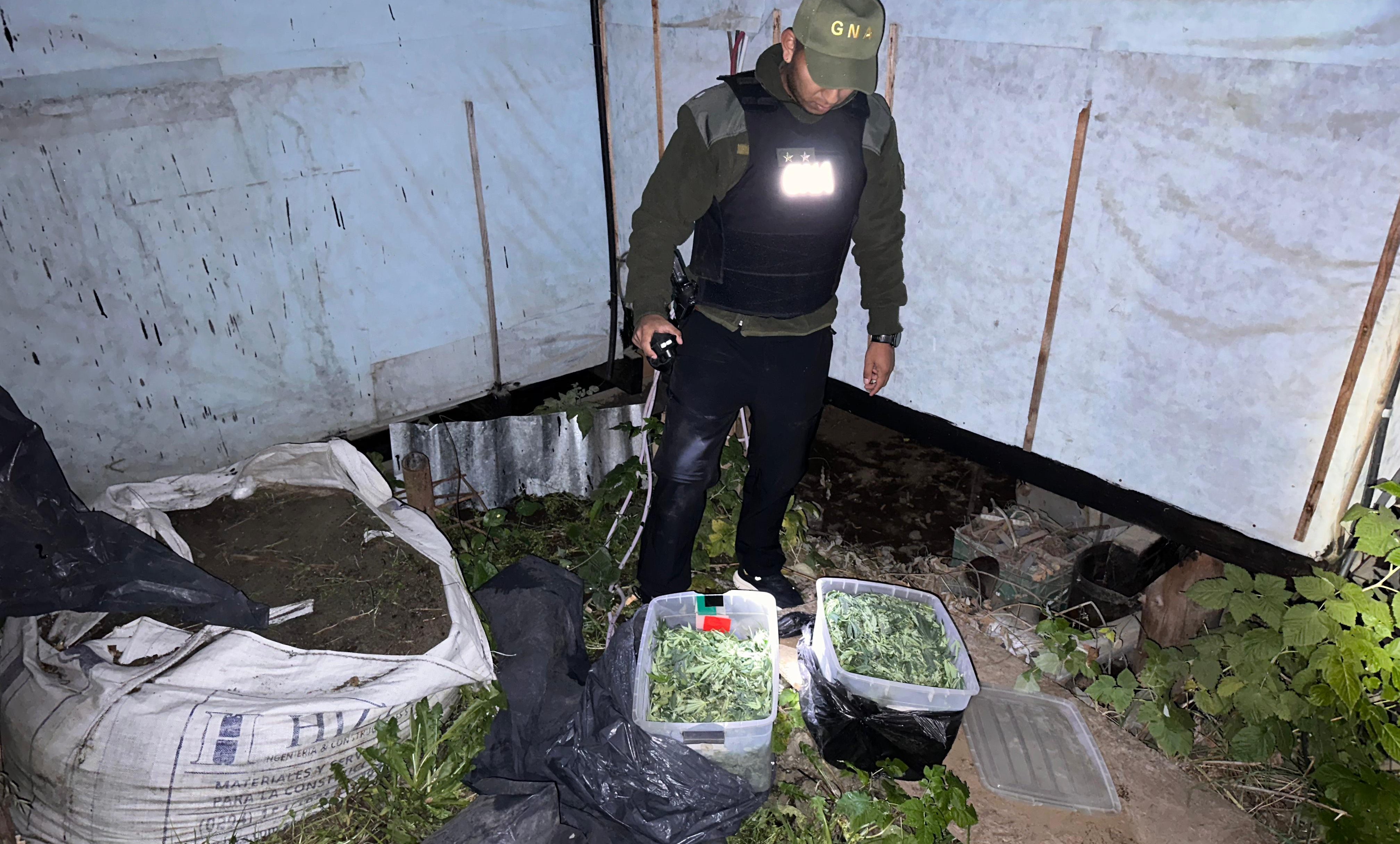 Gendarmería secuestró 11 kilos de marihuana enterrada en el patio de una casa en Villa Los Coihues