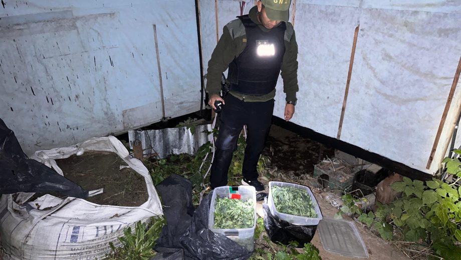 El allanamiento en la vivienda se realizó días atrás en el barrio Villa Los Coihues y la droga estaba enterrada. Foto: Gentileza Gendarmería