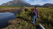Imagen de Estuvieron a un paso del cierre total y hoy exportan un inusual recurso milenario para cultivos que nace en la Patagonia