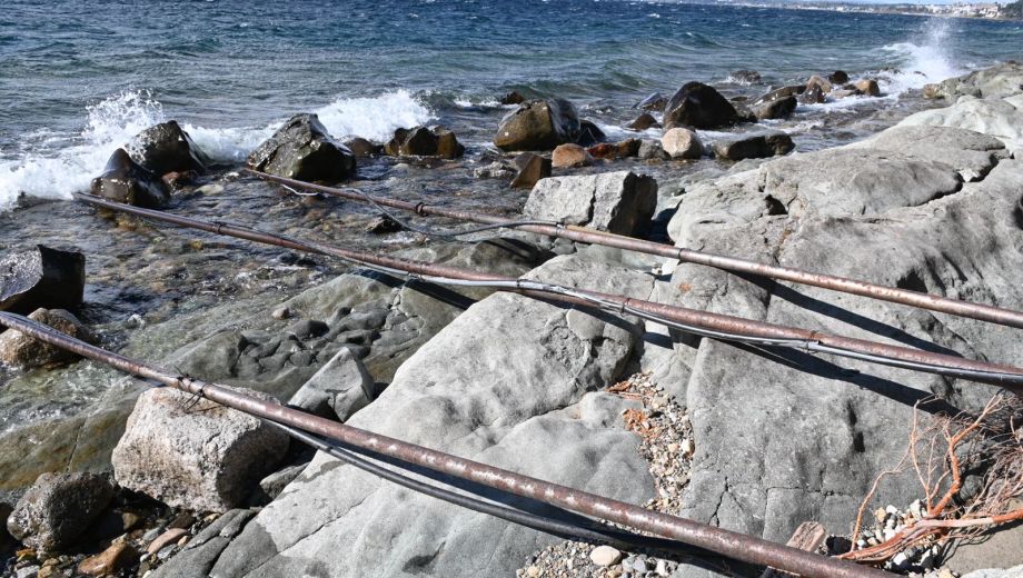 El hecho ocurrió la tarde del 16 de enero del 2017, en la playa ubicada a la altura del kilómetro 4,700 de la avenida Bustillo de Bariloche. (Foto Alfredo Leiva)