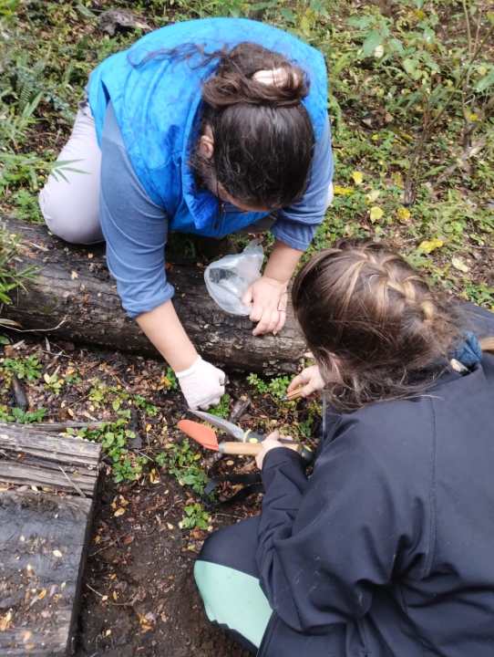 Amanita muscaria: expansi&oacute;n y nuevas investigaciones