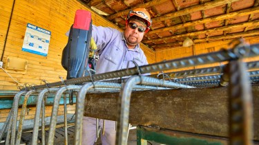 Empresas neuquinas apuestan al crecimiento con el programa Invierta Neuquén