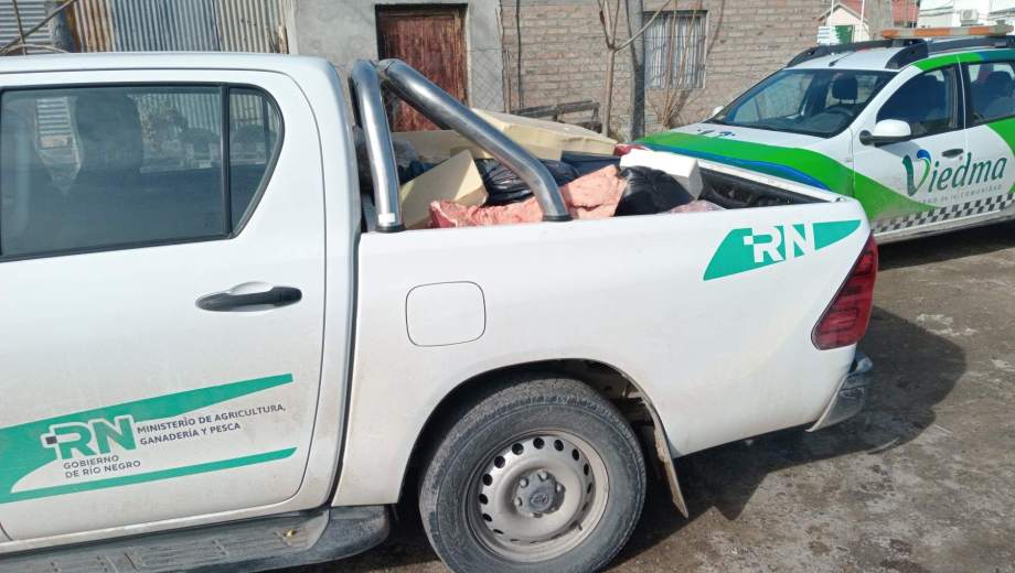 Carne clandestina en Viedma. Foto: gentileza.