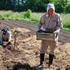 Imagen de Cultivan azafrán al pie del Piltriquitrón: un matrionio lidera la producción en Patagonia