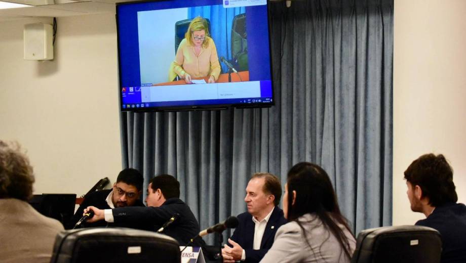 La jueza Carina Álvarez rechazó la prisión preventiva domiciliaria de Luis Bertolini. Foto: Matías Subat.