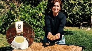 Café 100% argentino en Salta: desenterró un cafetal abandonado y hoy triunfa vendiendo el «oro negro» con ADN nacional