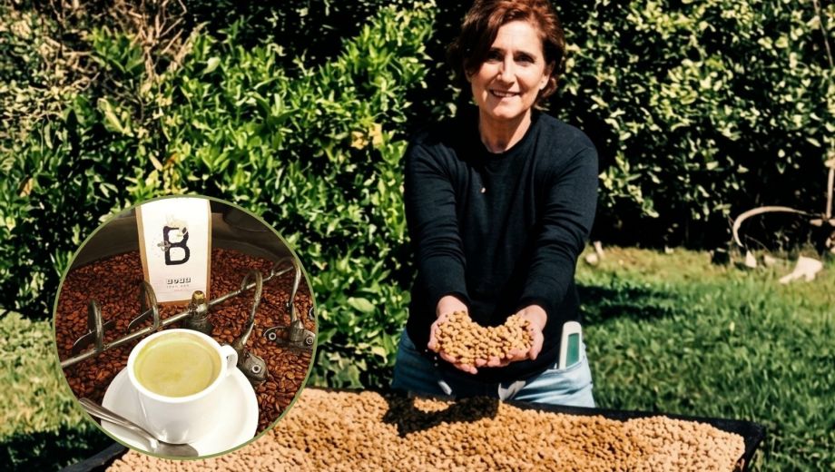 Actualmente tienen más de 30 hectáreas de cafetales en producción. Foto: gentileza.