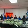 Imagen de Imputan a una pareja acusada de vender droga en Chos Malal: le encontraron 34 kilos de marihuana