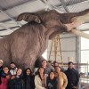 Imagen de ¿Existió un "elefante gigante" en la Patagonia? Presentan al animal prehistórico en el Paleoparque Comallo